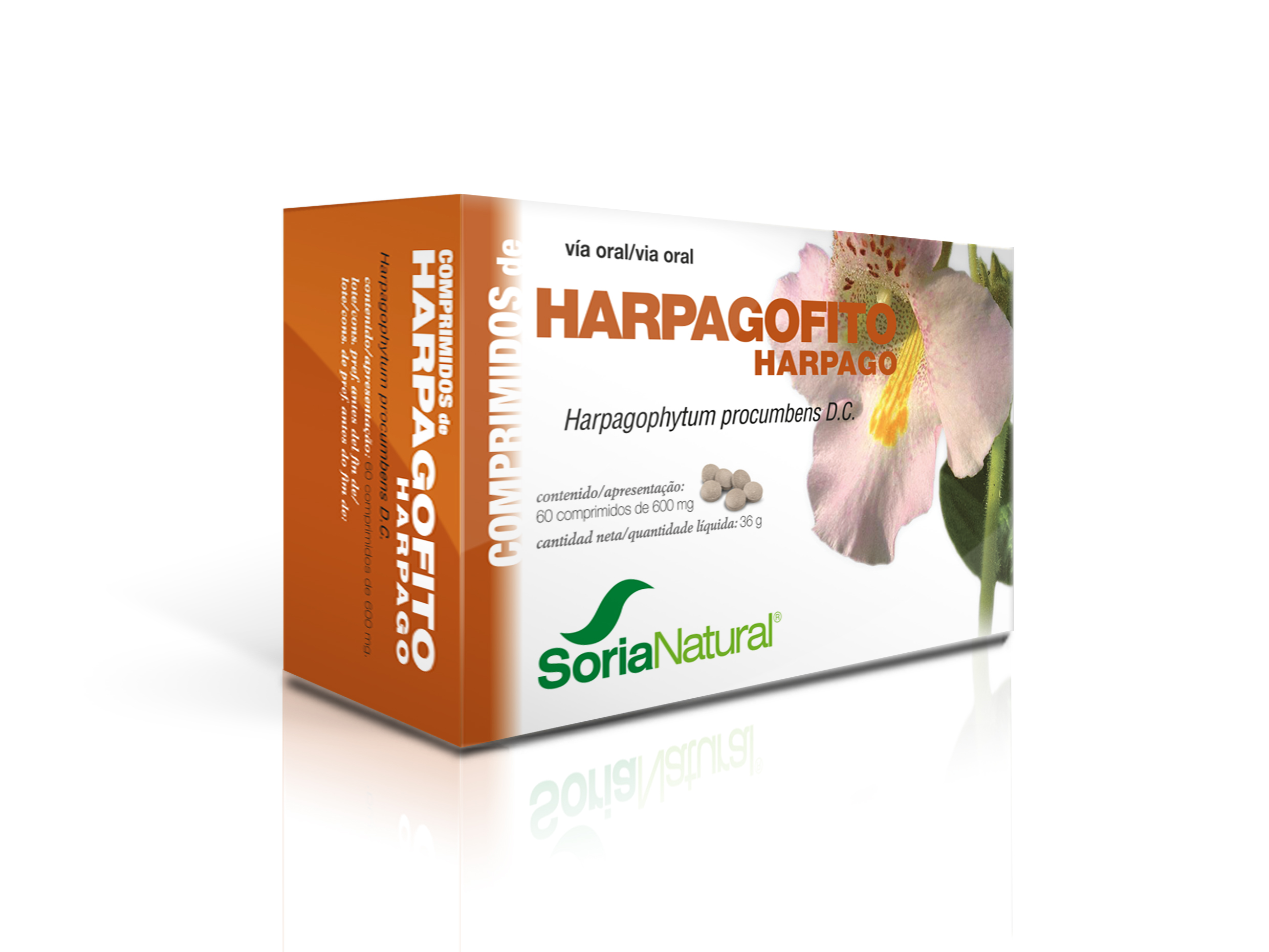 24-S Harpagophytum: griffe du diable 400 mg
