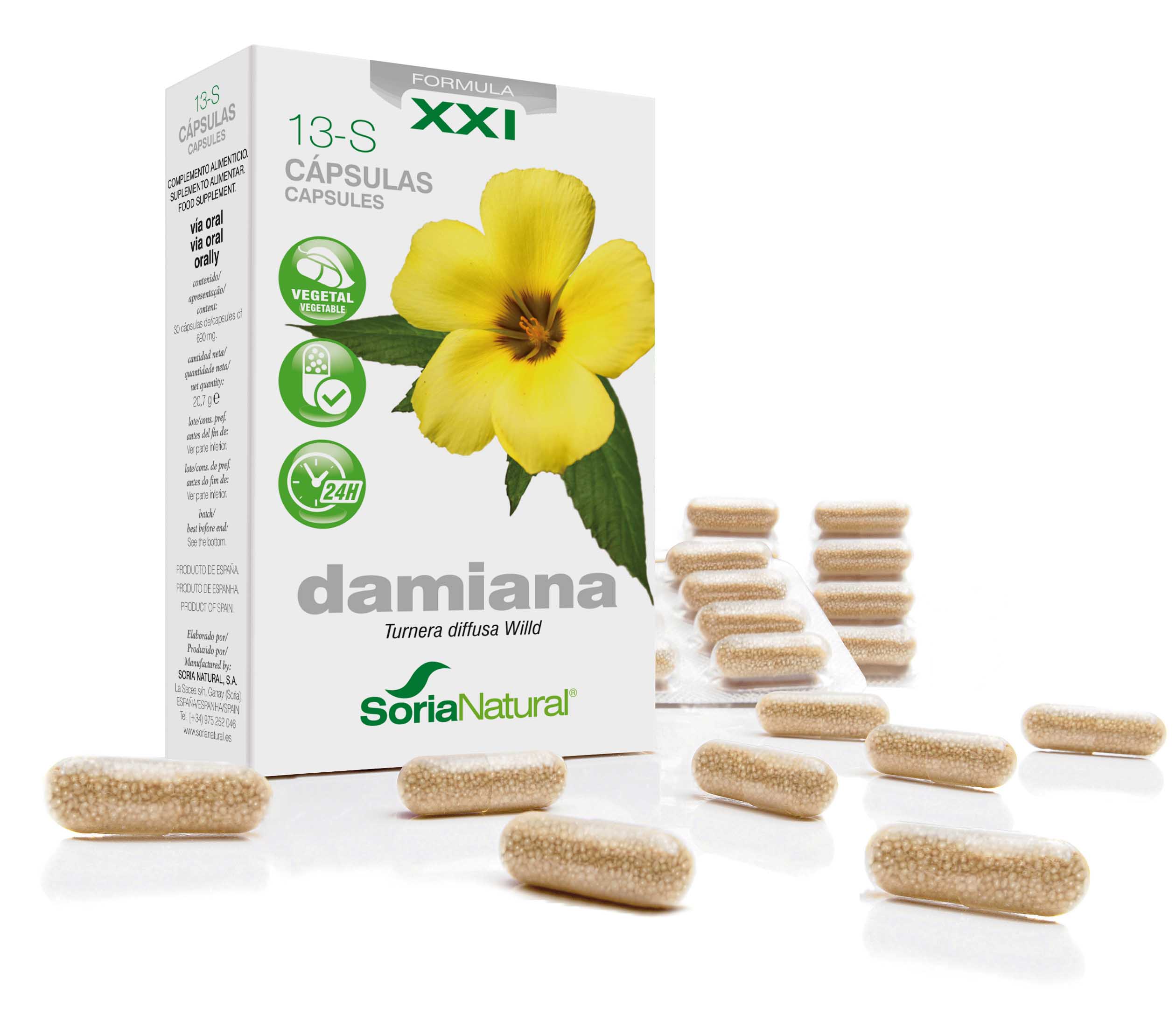 13-S Damiana XXI: damiaan 300 mg