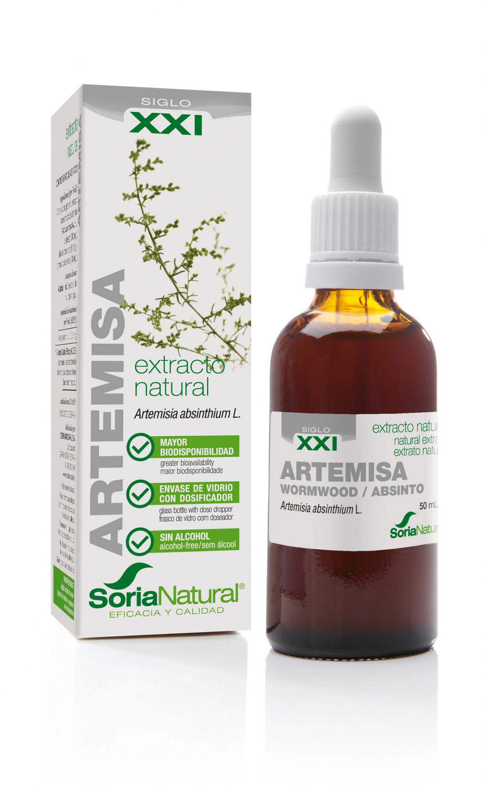 Artemisia vulgaris XXI extr. fl.